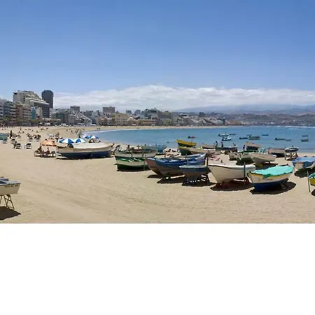 Albatros - Playa De Las Canteras *